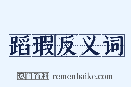 蹈瑕反义词是什么意思的图片